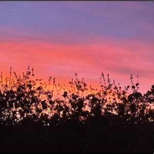 Meet your Posher, Payton